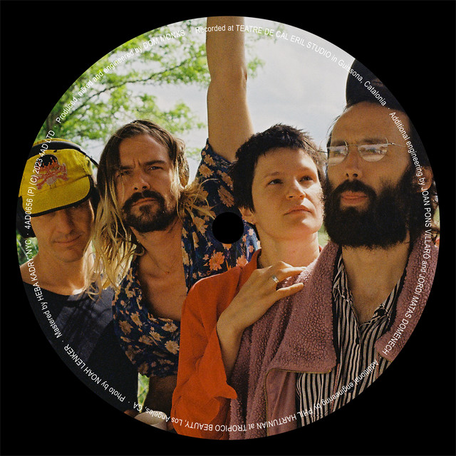 Vampire Empire / Born For Loving You by Big Thief — album art